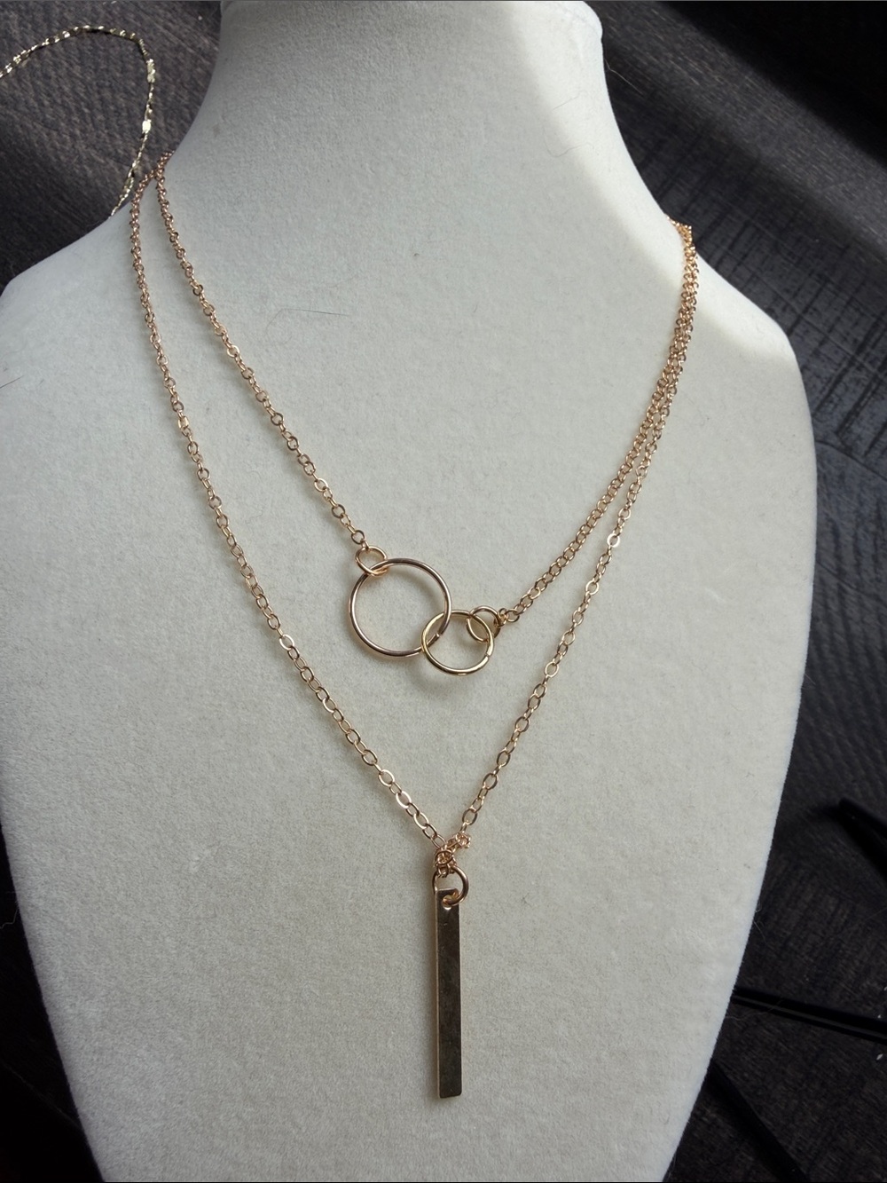 Layered  Gold tone  Double Circle & Bar Necklace - Women's Jewelry